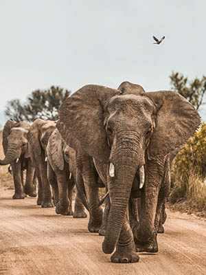Kenya